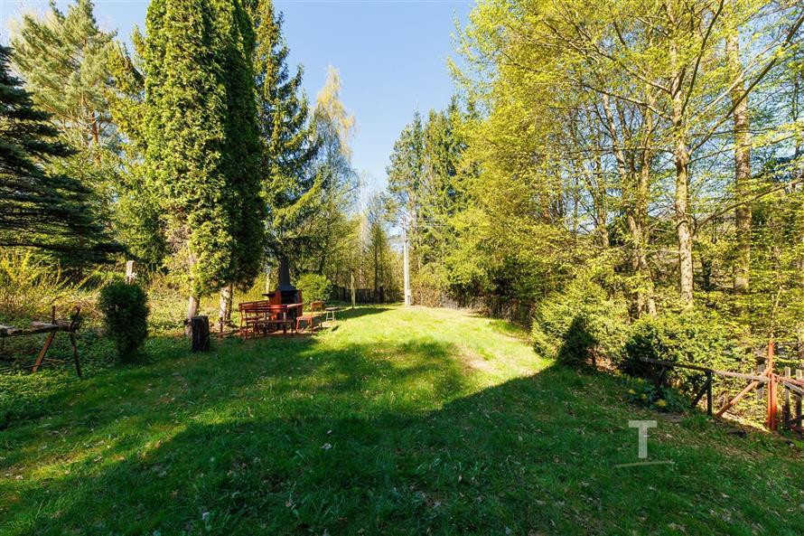 Trávník na zahradě, obklopený vzrostlými stromy, s venkovním posezením a grilem, nabízí soukromí a relaxaci v přírodním prostředí.