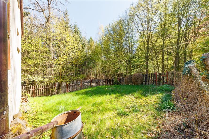 Zahrada s trávníkem a dřevěným plotem, obklopená vzrostlými stromy, nabízí soukromí a klidné prostředí pro relaxaci.