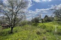 IMG-2956.jpg