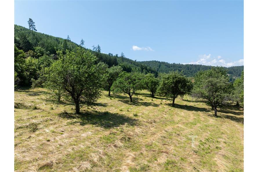 DJI_0111.jpg