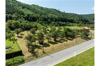 DJI_0102.jpg