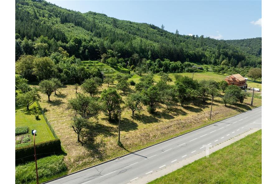 DJI_0102.jpg