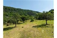 DJI_0116.jpg