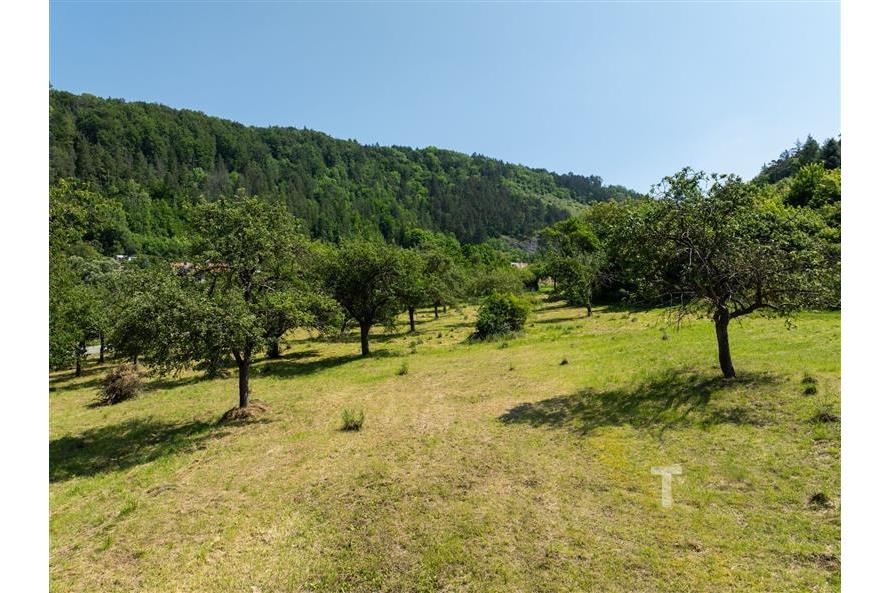 DJI_0116.jpg