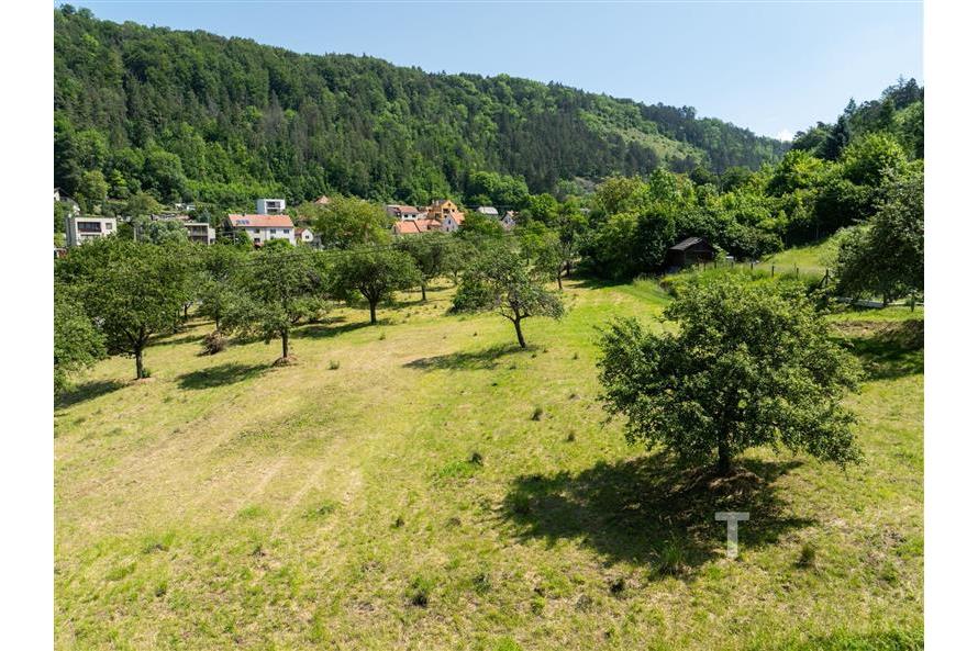 DJI_0114.jpg