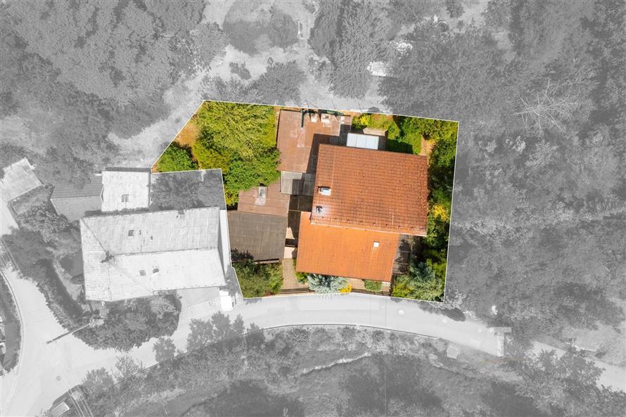 6 (1).jpg