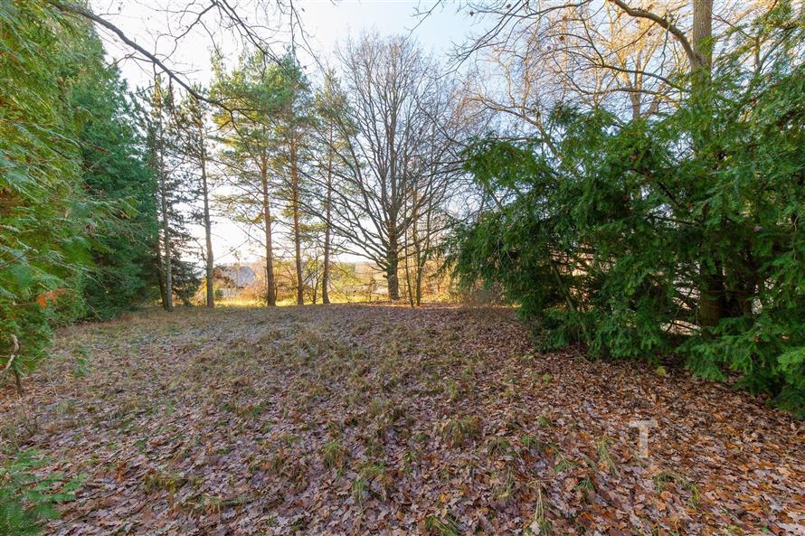 Rozlehlá zahrada obklopená vzrostlými stromy nabízí soukromí a klidné prostředí. Přírodní scenérie ideální pro rekreaci a relaxaci.