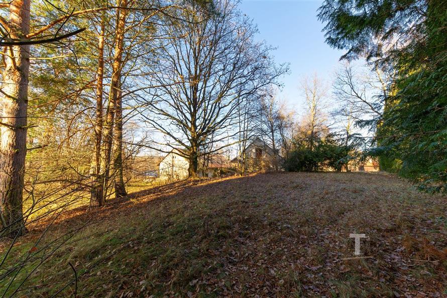 Rozlehlá zahrada s výhledem na starší dům, obklopená vzrostlými stromy, ideální pro milovníky přírody, klidná lokalita na okraji lesa.