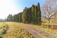 Příjezdová cesta lemovaná vysokými thujemi, vedoucí k oplocenému pozemku. Slunná lokalita, klidné prostředí, ideální pro stavbu domu.