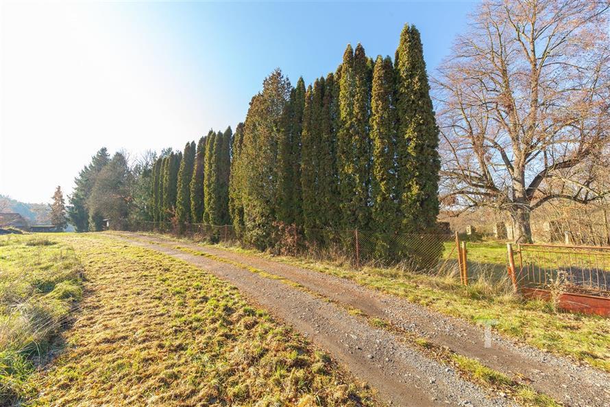 Příjezdová cesta lemovaná vysokými thujemi, vedoucí k oplocenému pozemku. Slunná lokalita, klidné prostředí, ideální pro stavbu domu.