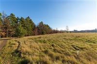 Stavební pozemek v klidné oblasti s výhledem na les, ideální pro rodinný dům, obklopený zelení a přístupovou cestou, slunné prostředí.
