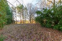 Prostorná zahrada s listnatými a jehličnatými stromy, přírodní prostředí, ideální pro relaxaci a soukromí.