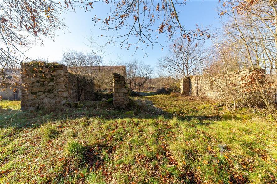 Zahrada s rozpadlými kamennými zdmi, ideální pro rekonstrukci. Venkovské kouzlo, přírodní okolí, slunná lokalita.