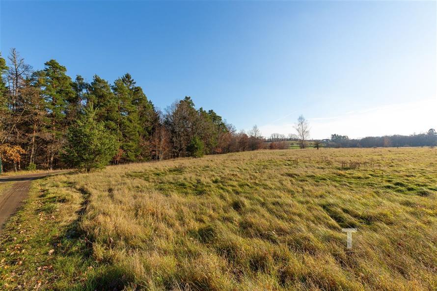 Otevřený stavební pozemek s travnatým povrchem, obklopený stromy, ideální pro výstavbu, klidná lokalita, slunná orientace.