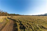 "Rozlehlý pozemek s travnatým povrchem, ideální pro stavbu. Klidné prostředí na okraji lesa, nabízí skvělý potenciál pro investici."