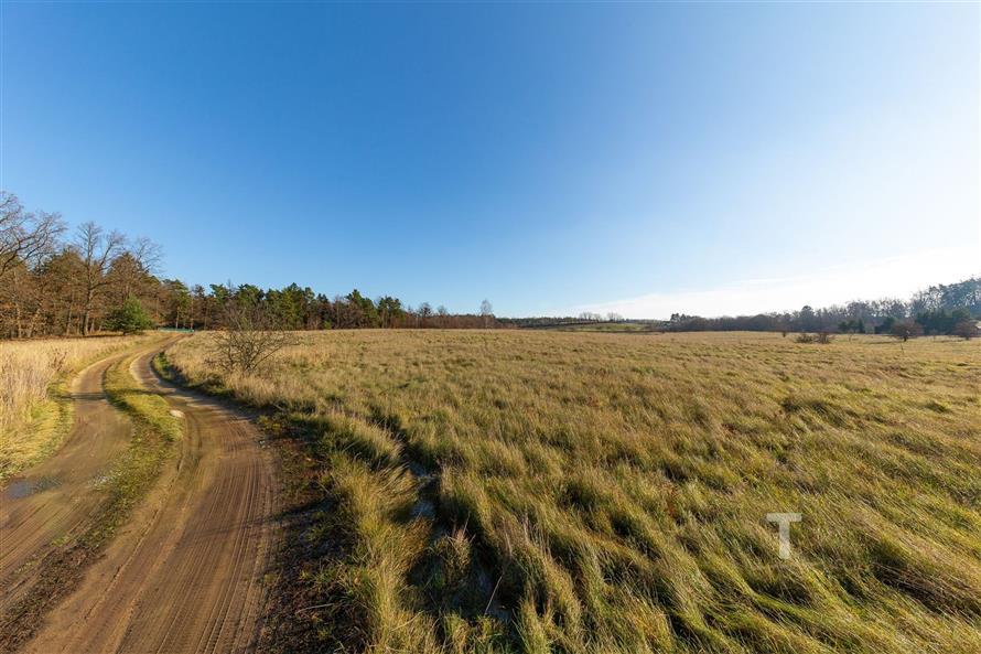 "Rozlehlý pozemek s travnatým povrchem, ideální pro stavbu. Klidné prostředí na okraji lesa, nabízí skvělý potenciál pro investici."