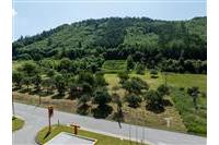 DJI_0099.jpg