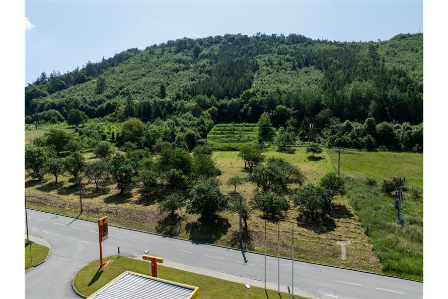 DJI_0099.jpg