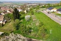 dji_fly_20250424_094452_121_1745480707792_photo.jpg