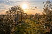 Zahrada s rozkvetlými stromy a panoramatickým výhledem, ideální pro milovníky přírody, nabízí klid a soukromí ve venkovském prostředí