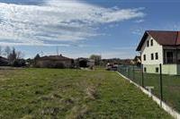 IMG_9284.jpeg
