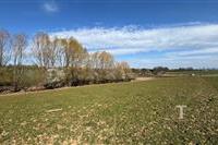 IMG_9287.jpeg