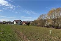 IMG_9290.jpeg