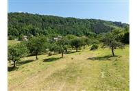 DJI_0115.jpg