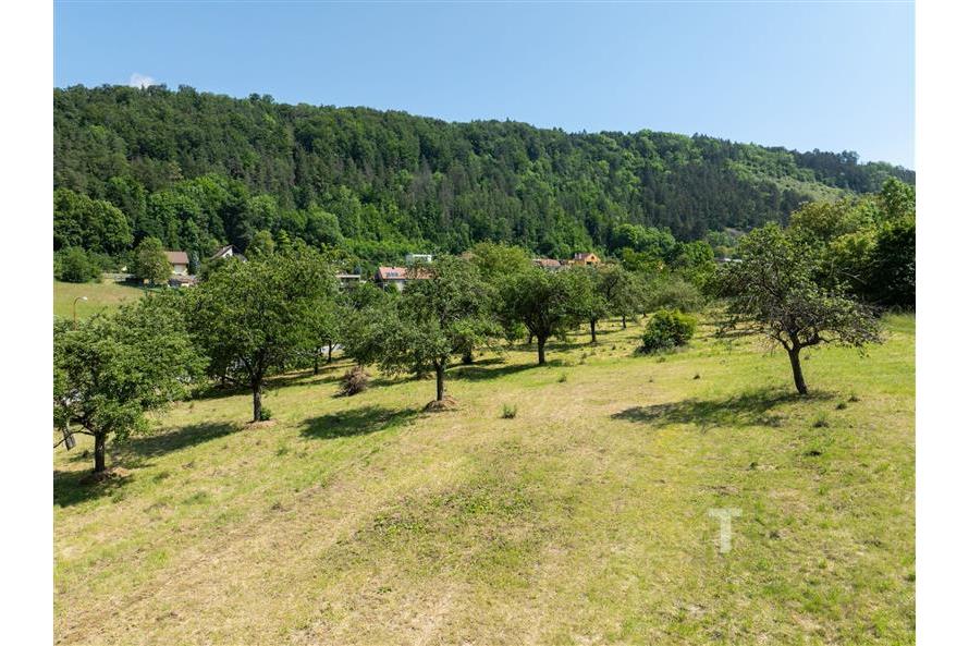 DJI_0115.jpg