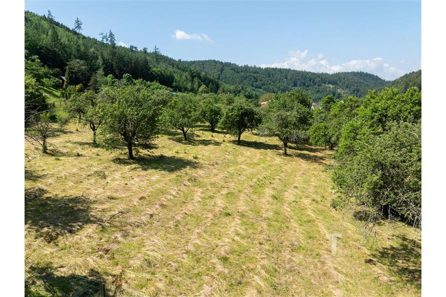 DJI_0110.jpg