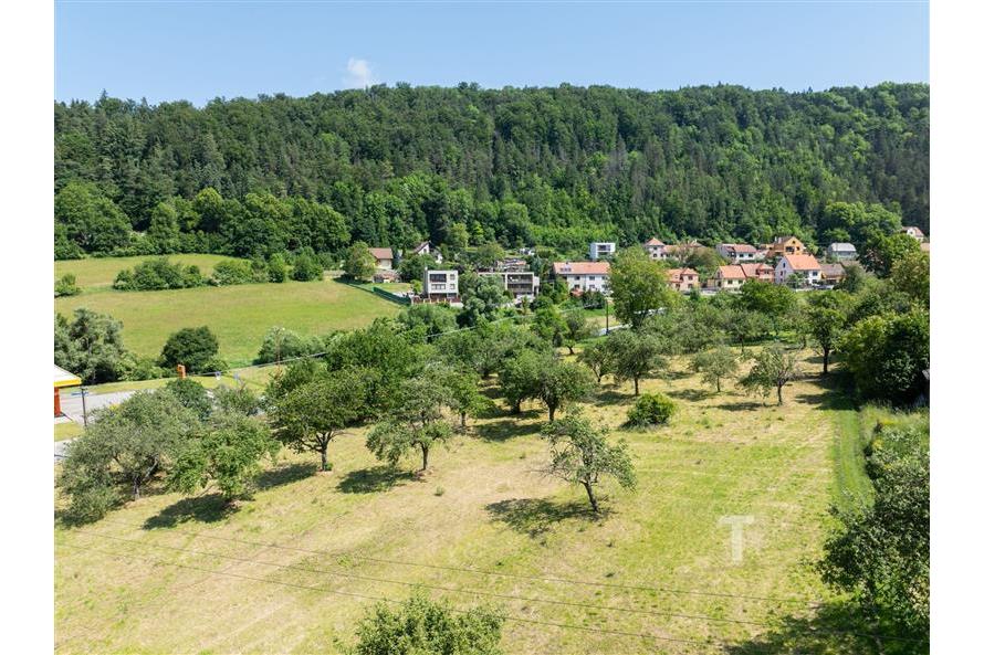 DJI_0113.jpg