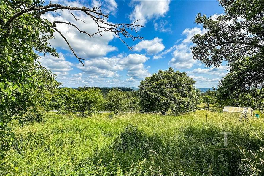 Zahrada s bujnou vegetací a ovocnými stromy, ideální pro milovníky přírody. Nabízí klidné prostředí s výhledem na krajinu.