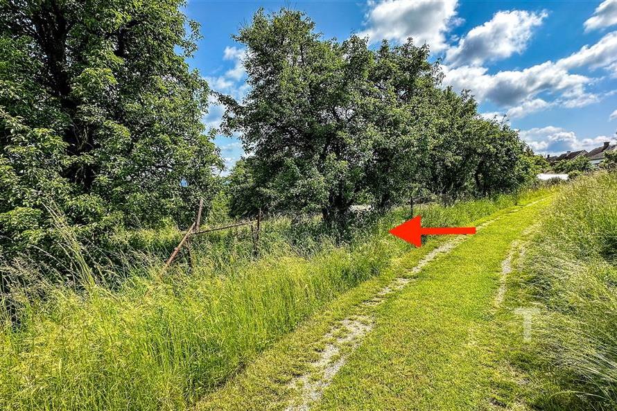 Zahrada s ovocnými stromy, dobře udržovaný trávník, klidné prostředí, vhodné pro relaxaci či zahradničení.