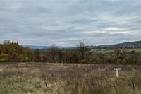 IMG_8118 (1).jpeg