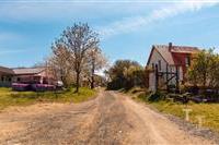 Příjezdová cesta k rodinnému domu s červenou střechou, okolní stromy v rozkvětu, klidná lokalita, prostor pro úpravy, potenciál venkovského bydlení.