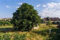 DJI_0412.jpg