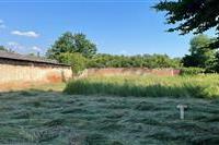 IMG_1251 (1).jpeg