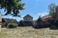 IMG_1250 (1).jpeg