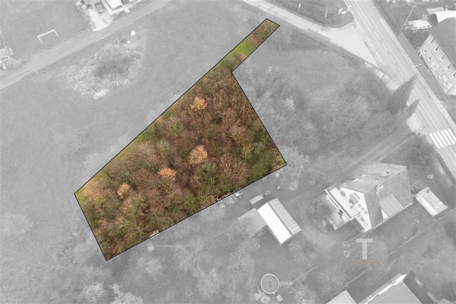 větší pozemek 2.jpg