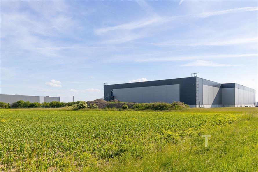 13 (10).jpg