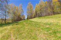 Zelená stavební parcela obklopená vzrostlými stromy, ideální pro stavbu domu v klidné lokalitě s nádhernými výhledy na krajinu.