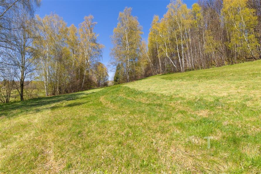 Zelená stavební parcela obklopená vzrostlými stromy, ideální pro stavbu domu v klidné lokalitě s nádhernými výhledy na krajinu.