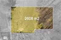 Nezastavěný pozemek o rozloze 2608 m² obklopený stromy, vhodný pro výstavbu, rovný terén, klidná lokalita v přírodě.