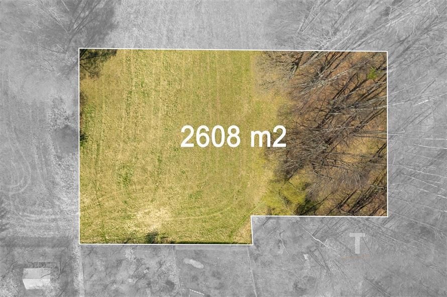 Nezastavěný pozemek o rozloze 2608 m² obklopený stromy, vhodný pro výstavbu, rovný terén, klidná lokalita v přírodě.