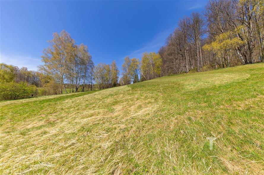 Prázdná zahrada s travnatým porostem a okolními stromy, ideální pro stavbu nebo rekreaci, klidná lokalita s přírodním prostředím