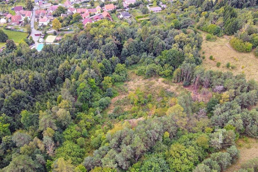 dji_fly_20250915_104938_226_1757926189273_photo.JPG