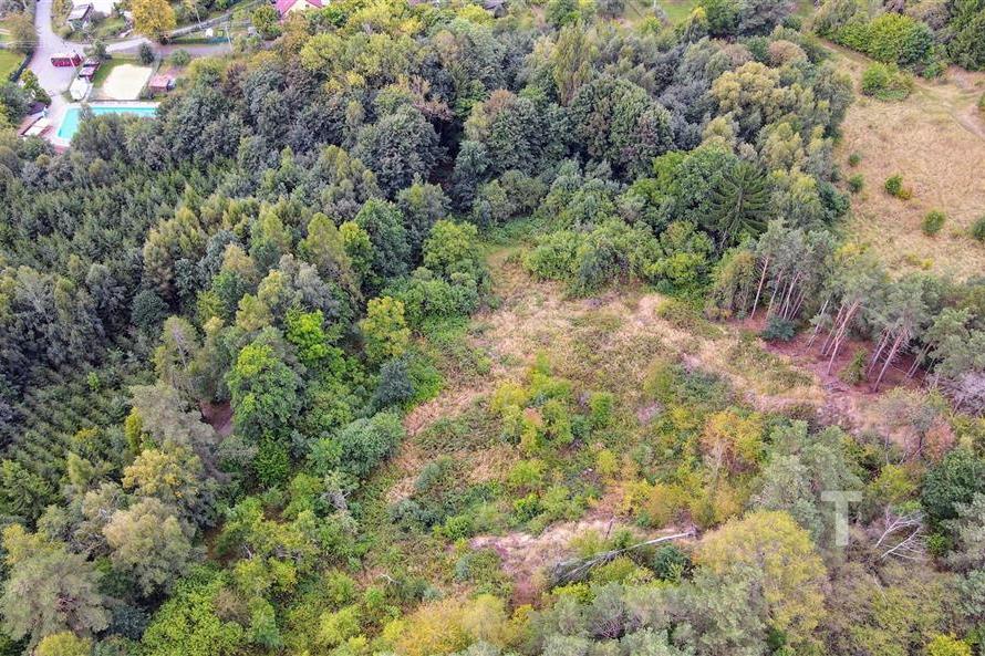 dji_fly_20250915_104930_225_1757926184073_photo.JPG