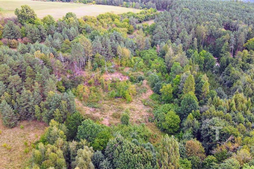dji_fly_20250915_104756_223_1757926106946_photo.JPG