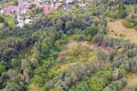 dji_fly_20250915_104938_226_1757926189273_photo.JPG