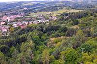 dji_fly_20250915_104904_224_1757926155067_photo.JPG